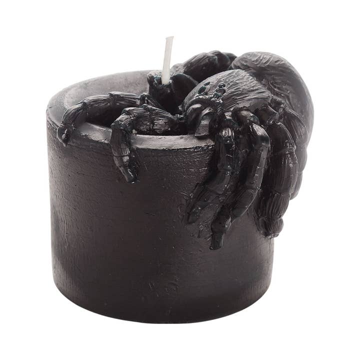 Big Dipper Wax Works - Wholesale Novelty Candle - Beeswax Spider Pillar
