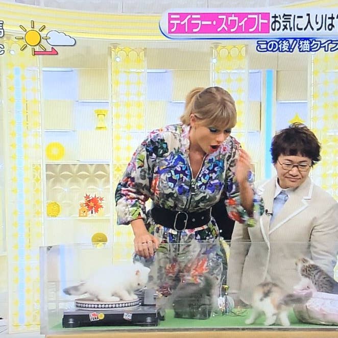 SUCK UK Ltd - USA - Wholesale Pet Scratcher - Cat - Cat Scratch DJ Decks - unleash your cat’s inner DJ4