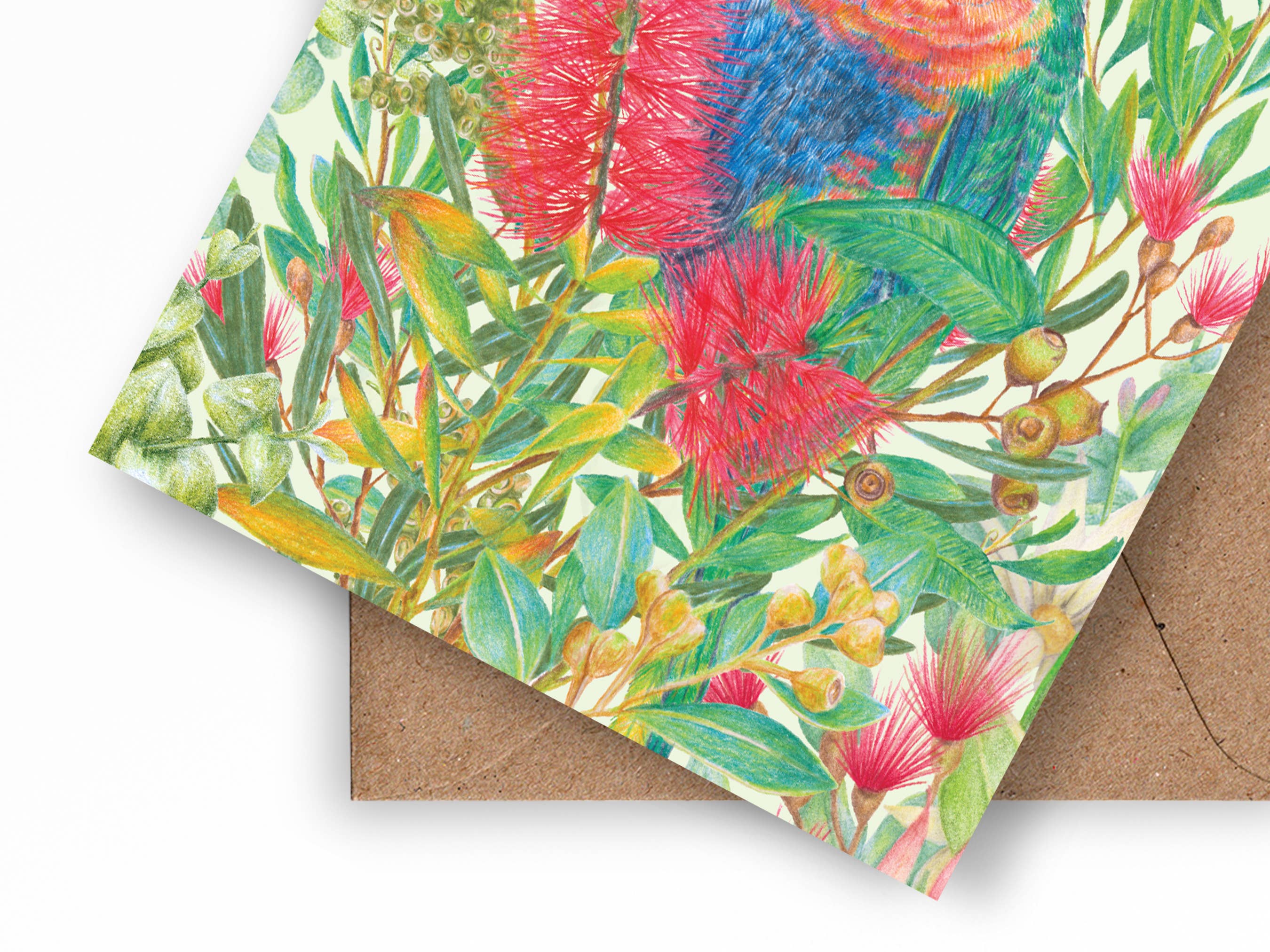 Kayla Reay Design - Wholesale Everyday Greeting Card - Rainbow Lorikeet Greeting Card - Australian Bird Art3
