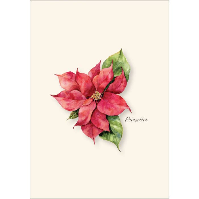 Earth Sky + Water - Wholesale Everyday Greeting Card - Poinsettia1