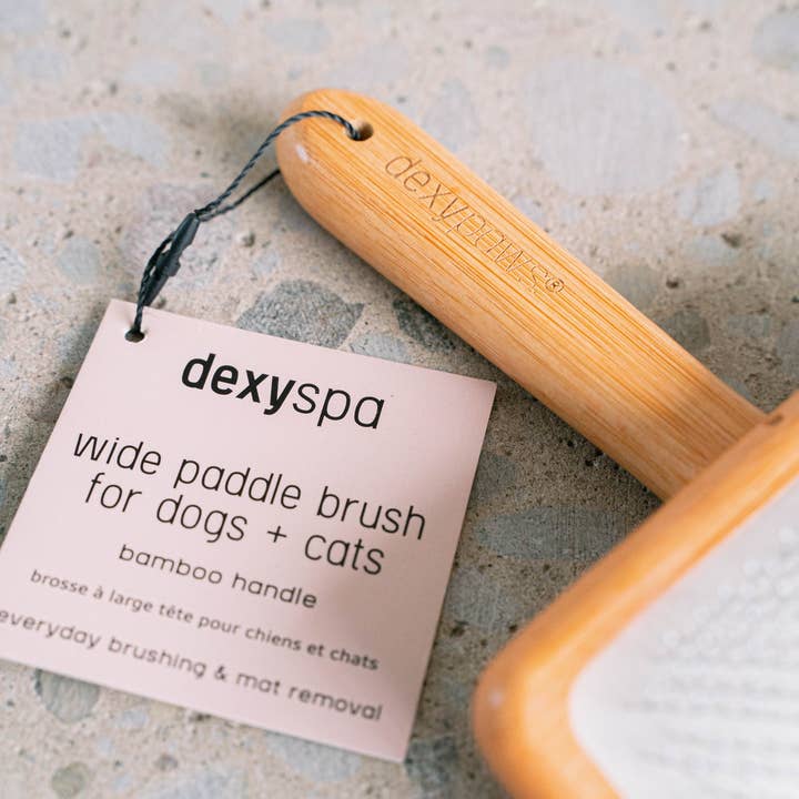 dexypaws – wholesale Pet brush – Cat/dog – Wide Paddle Brush for dogs & cats4
