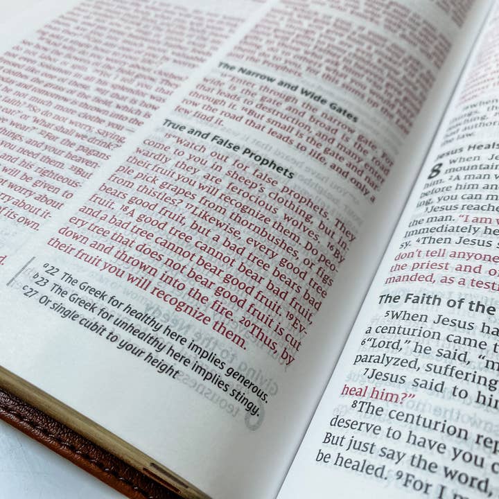 Joy Creative Bibles - Wholesale Religion - NIV Bible Light Brown - For I Know the Plans I Have For You5