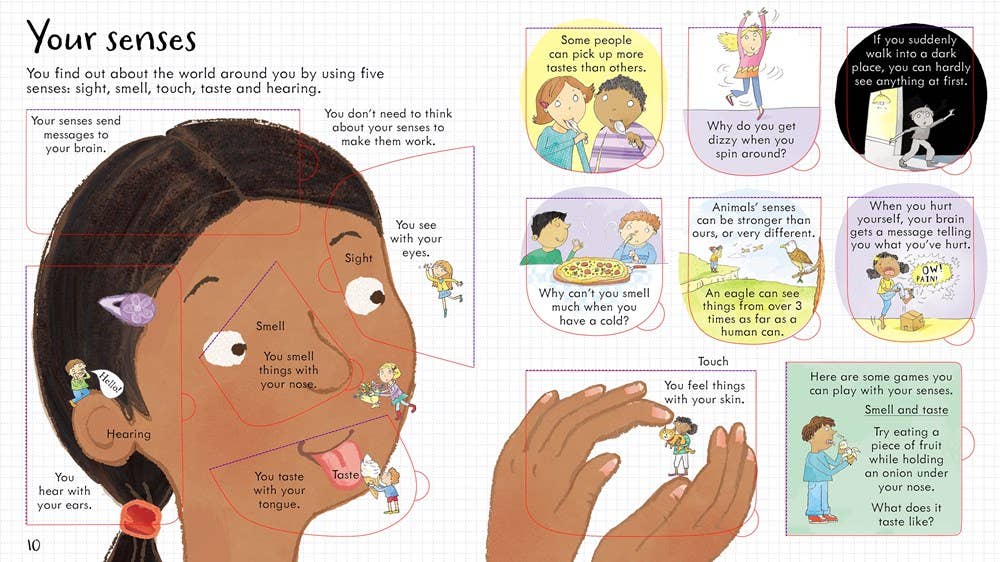 HarperCollins - Wholesale Preschool Book (3-5) - Look Inside Your Body3