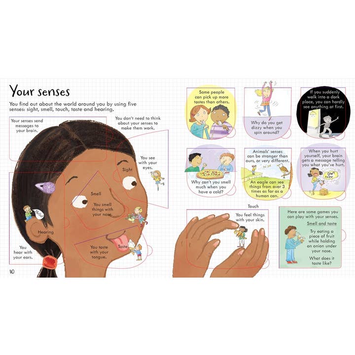 HarperCollins - Wholesale Preschool Book (3-5) - Look Inside Your Body3