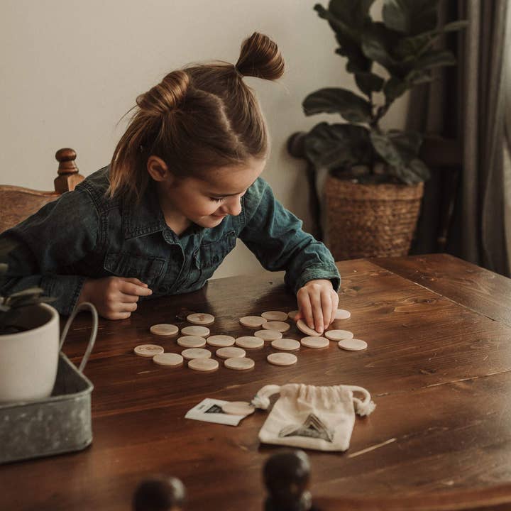 Tree Fort Toys - Wholesale Brain Game - Kids - Insect Memory Matching Game3
