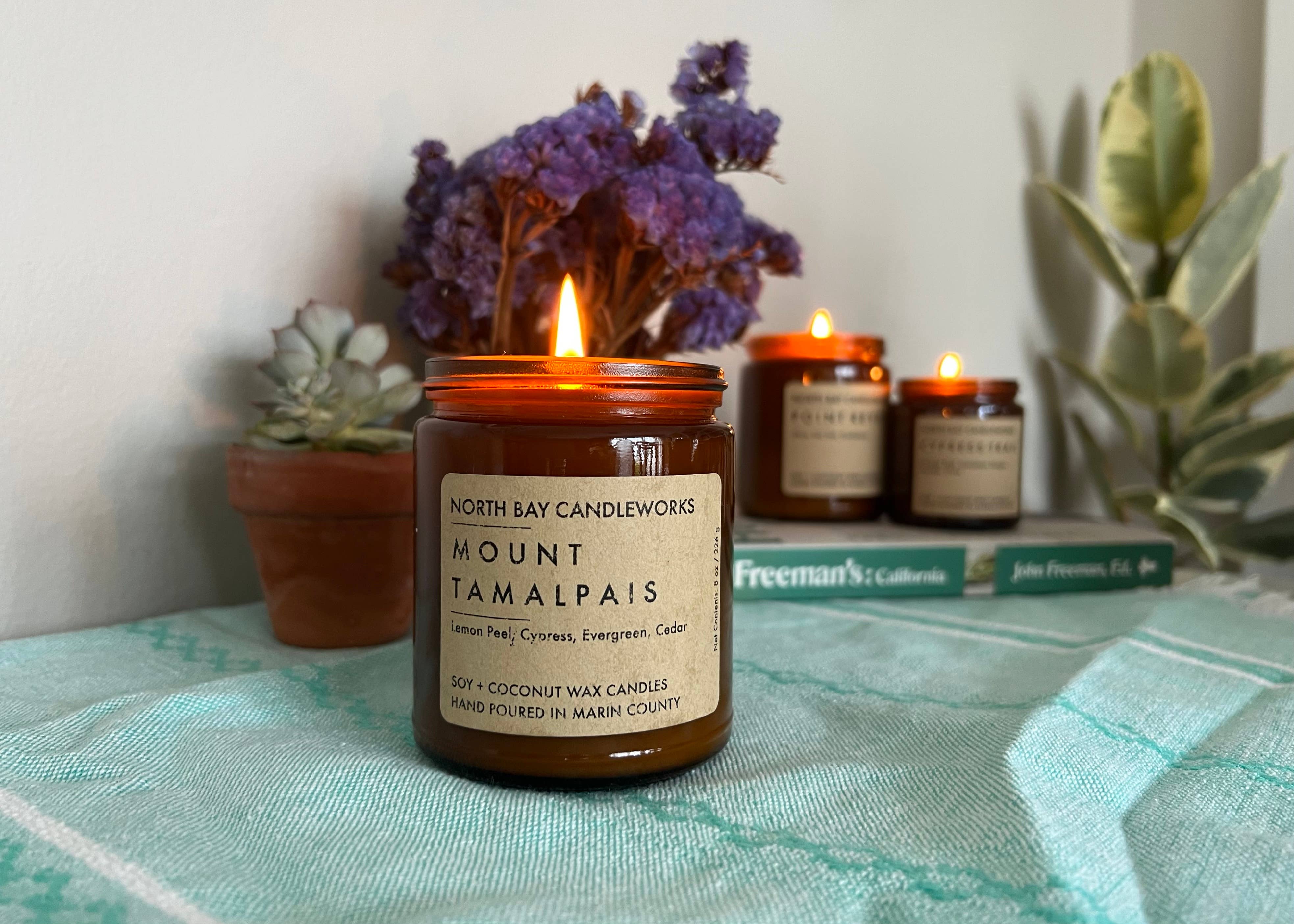 North Bay Candleworks - Vente Bougie en bocal - Muir Woods (taille standard, 8 oz)3