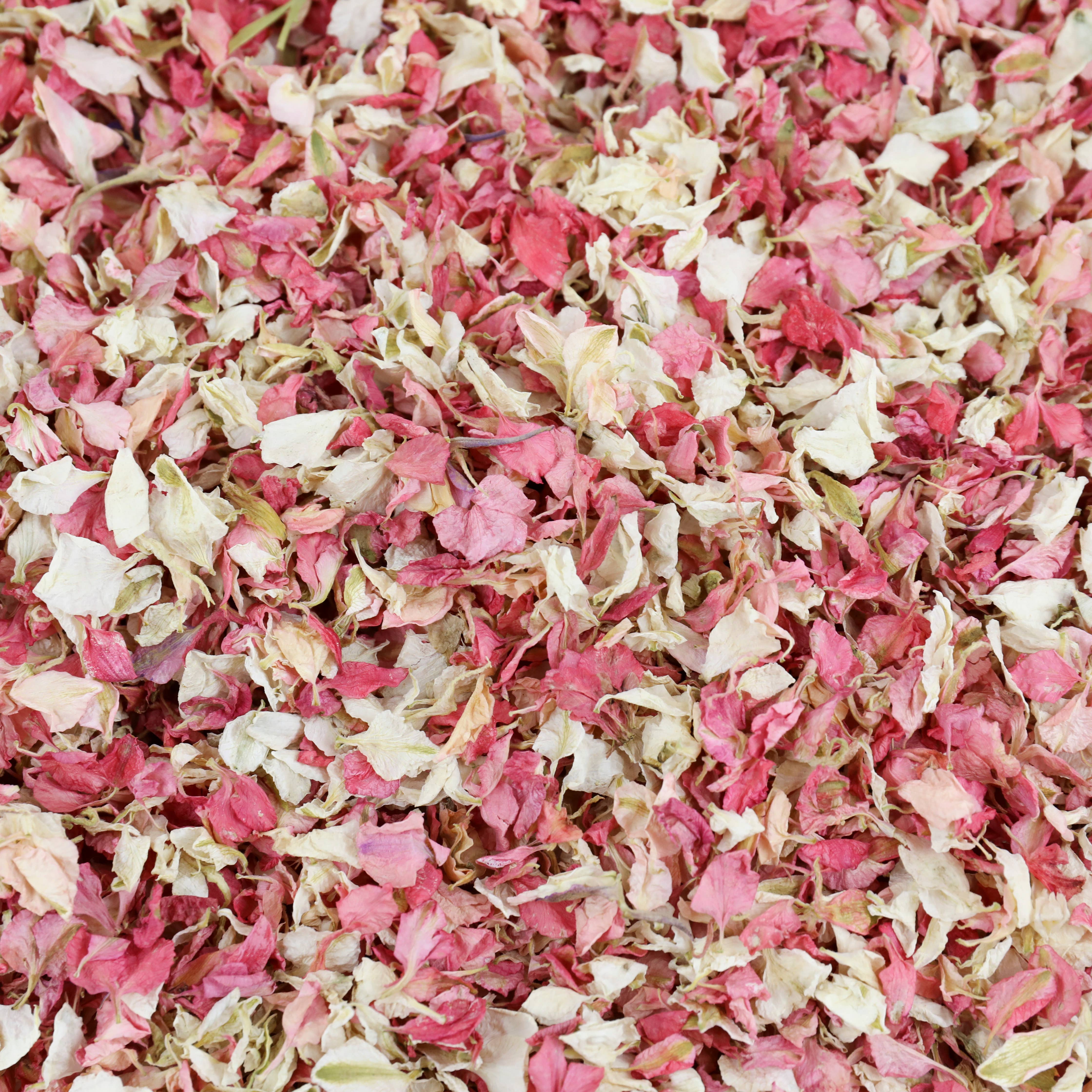 LSF Wholesale - Wholesale Confetti - White Individual Confetti Pop - Biodegradable Confetti7