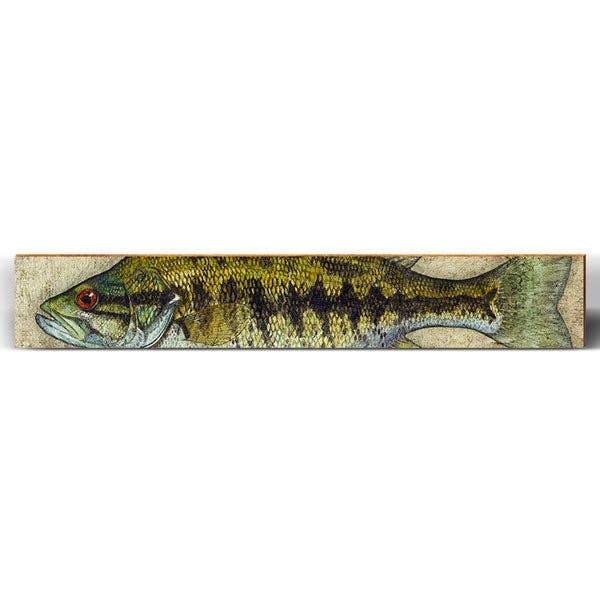 Small Mouth Bass Large | Wall Art Print on Real Wood for wholesale by Mill Wood Art