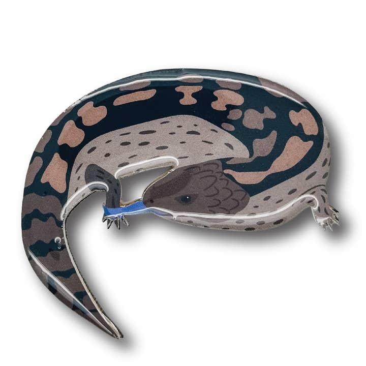 Bluetongue firben broche for engroshandel hos Selatan