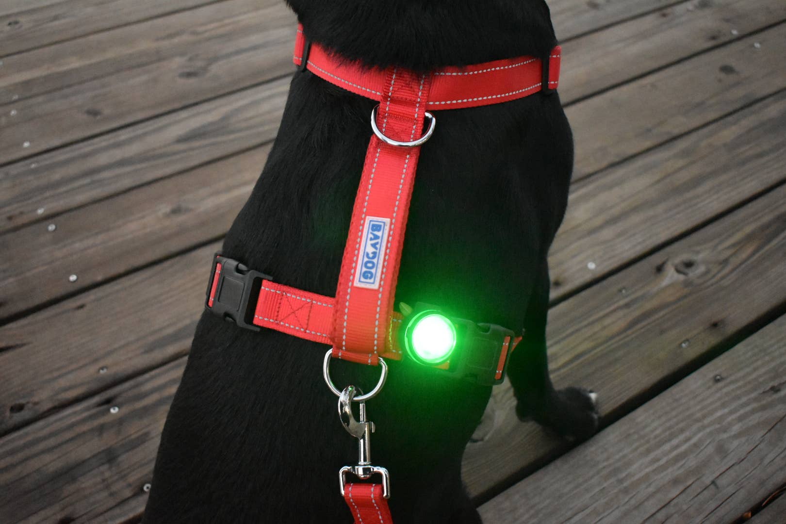 BAYDOG - Wholesale Pet Harness - Dog - Firefly Safety Light1