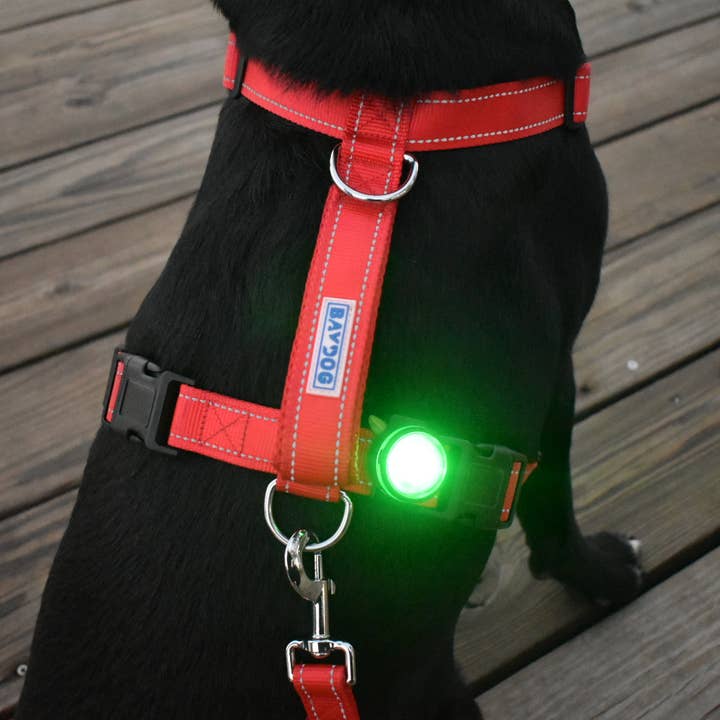 BAYDOG - Wholesale Pet Harness - Dog - Firefly Safety Light1