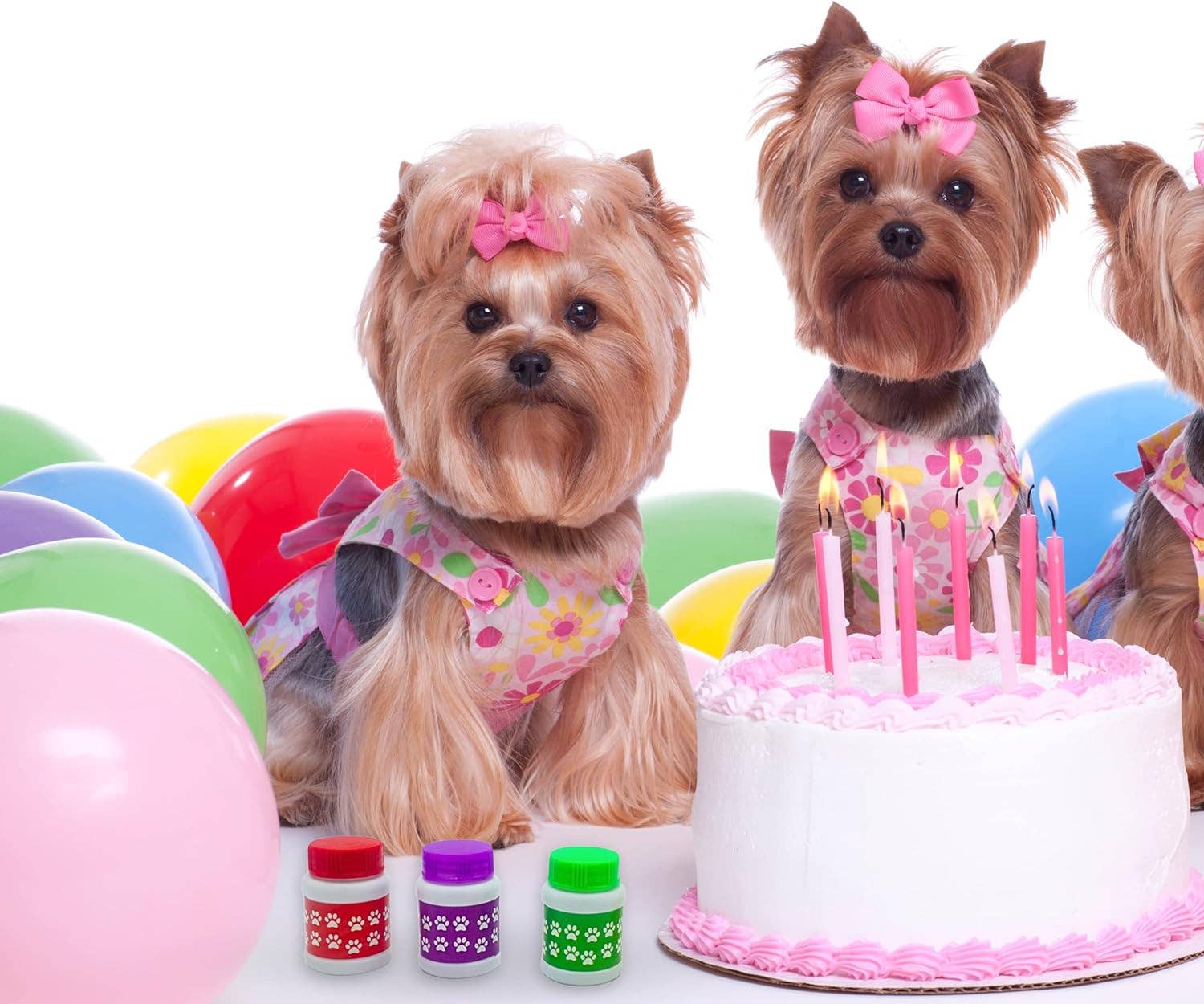 4E's Novelty - Wholesale Party Favor - Paw Print Bubble Bottles - 24 Pack, 1 oz, Paw Patrol Party Favors5