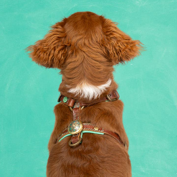 Rock Y-Harness XXS (Chest Size 33-39 cm) voor wholesale door Dog with a Mission