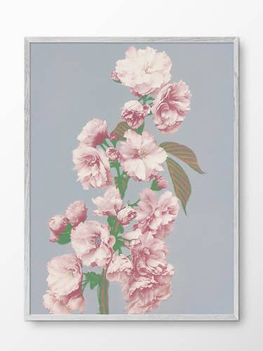 Kersenbloesem voor wholesale door PETIT_ARTPRINTS