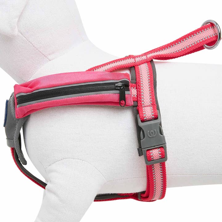 Blueberry Pet - Wholesale Pet Harness - Dog - Better Basics Reflective Dog Harness with Treat Pocket