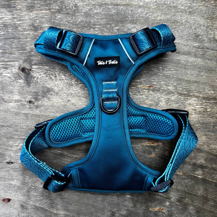 Harnais d'Aventure Evergreen pour la vente par Tails and Trails