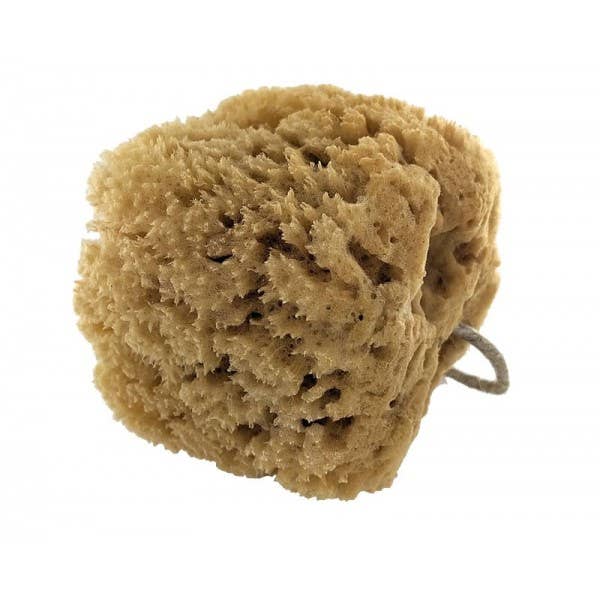 LS GROUP - Wholesale Bath Pouf/Sponge - Natural sea hand sponge