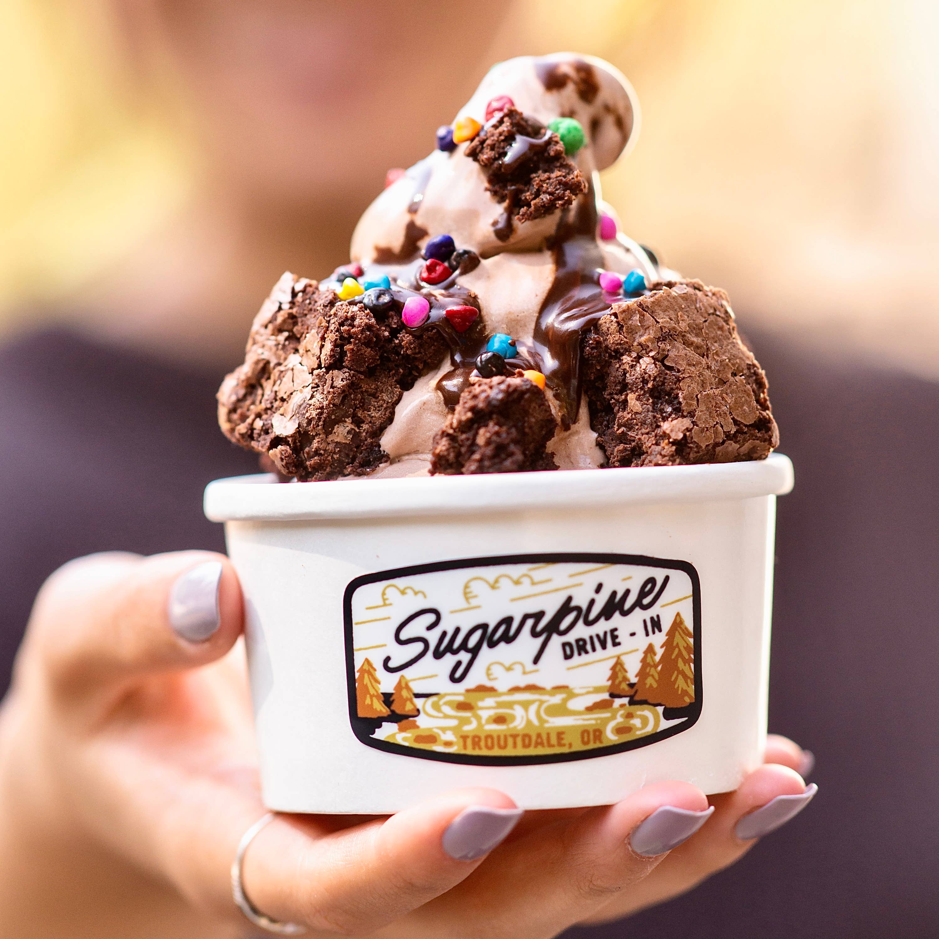 Sugarpine Drive-In - Wholesale Hot Fudge/Chocolate Spread - Honey Hot Fudge Sundae Sauce5