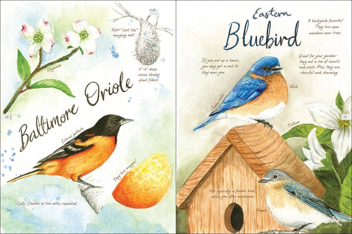 AdventureKEEN - Vente Nature et plein air - Drawn to Birds : Carnet de croquis d'un naturaliste8