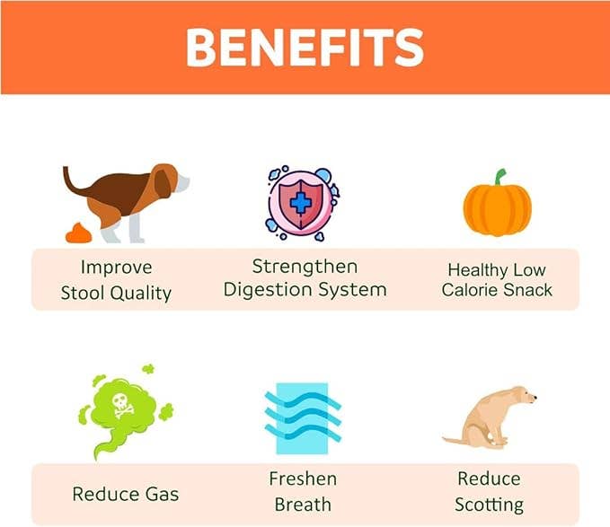 Happy Olly - Wholesale Pet Treats - Dog - Happy Olly Freeze Dried Pumpkin- Single Ingredient Dog Treat2