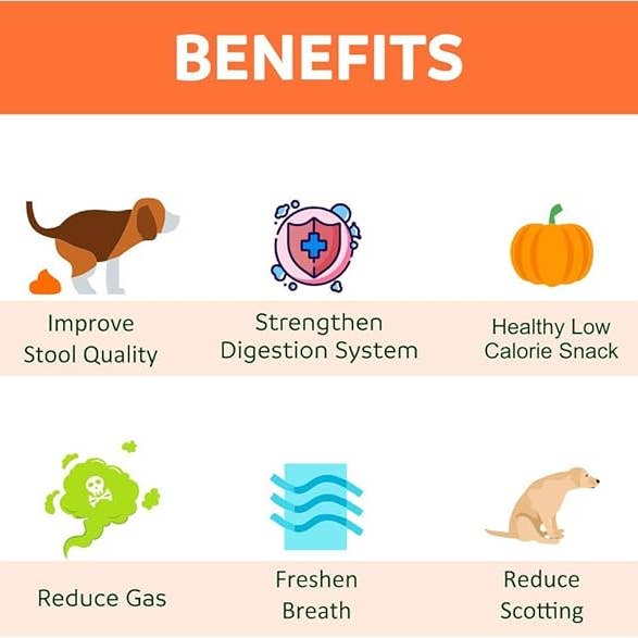 Happy Olly - Wholesale Pet Treats - Dog - Happy Olly Freeze Dried Pumpkin- Single Ingredient Dog Treat2