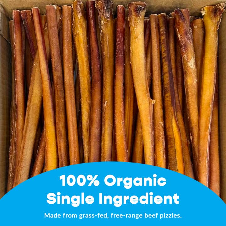 Mighty Chewz - Wholesale Pet Treats - Dog - 12" Thick Bully Sticks (140 Ct.) ($3.33 ea.)