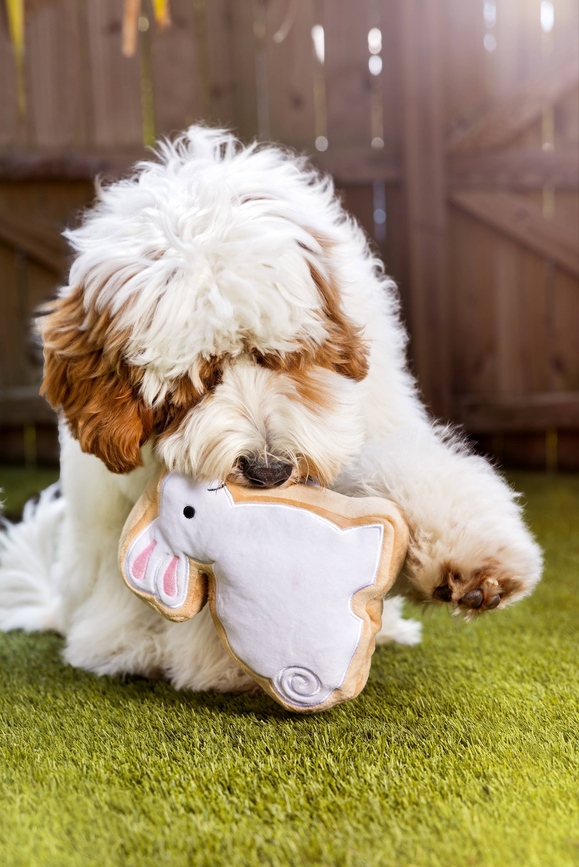 Midlee Designs - Wholesale Speeltje - Hond - Midlee Sugar Cookie Paashaas Hondenspeelgoed1