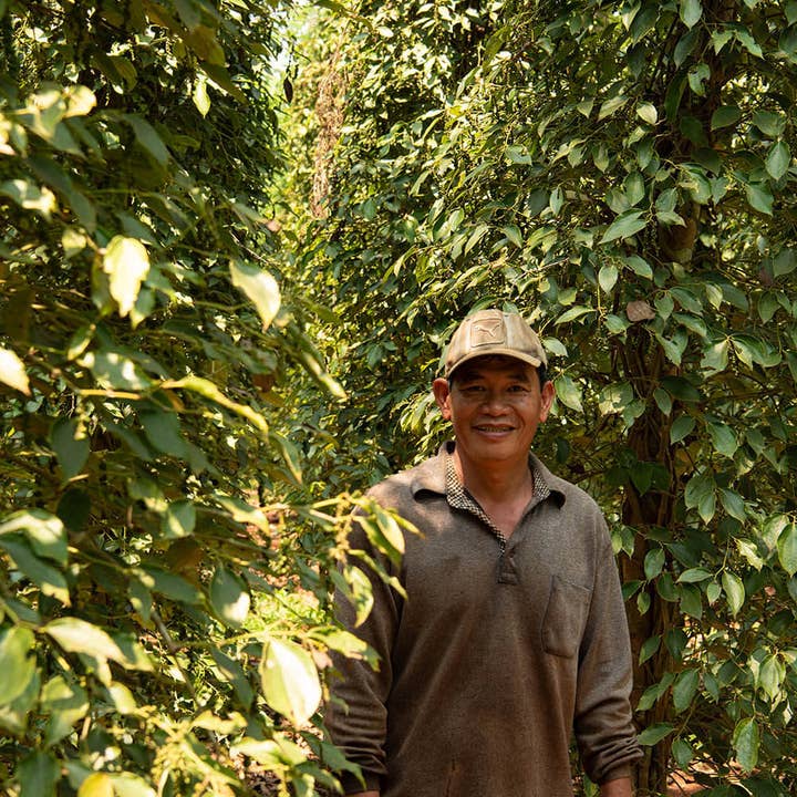 Vân Vân - Wholesale Pepper/Peppercorns - Bazan Pepper - Single-Origin Vietnamese Black Peppercorns4