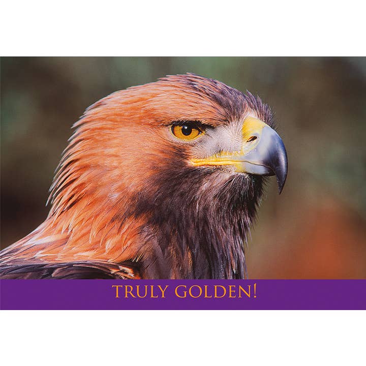 Middelgrote ansichtkaart Truly Golden! voor wholesale door Island Blue Publishing