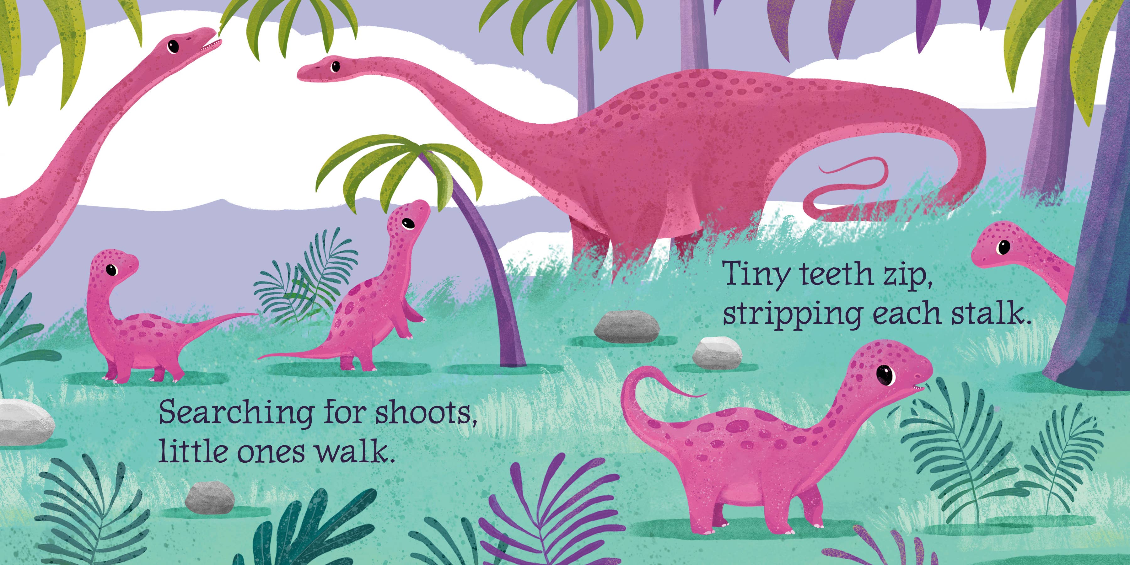 Amicus Publishing – wholesale Baby & Toddler Book (0-2) – Baby Diplodocus1