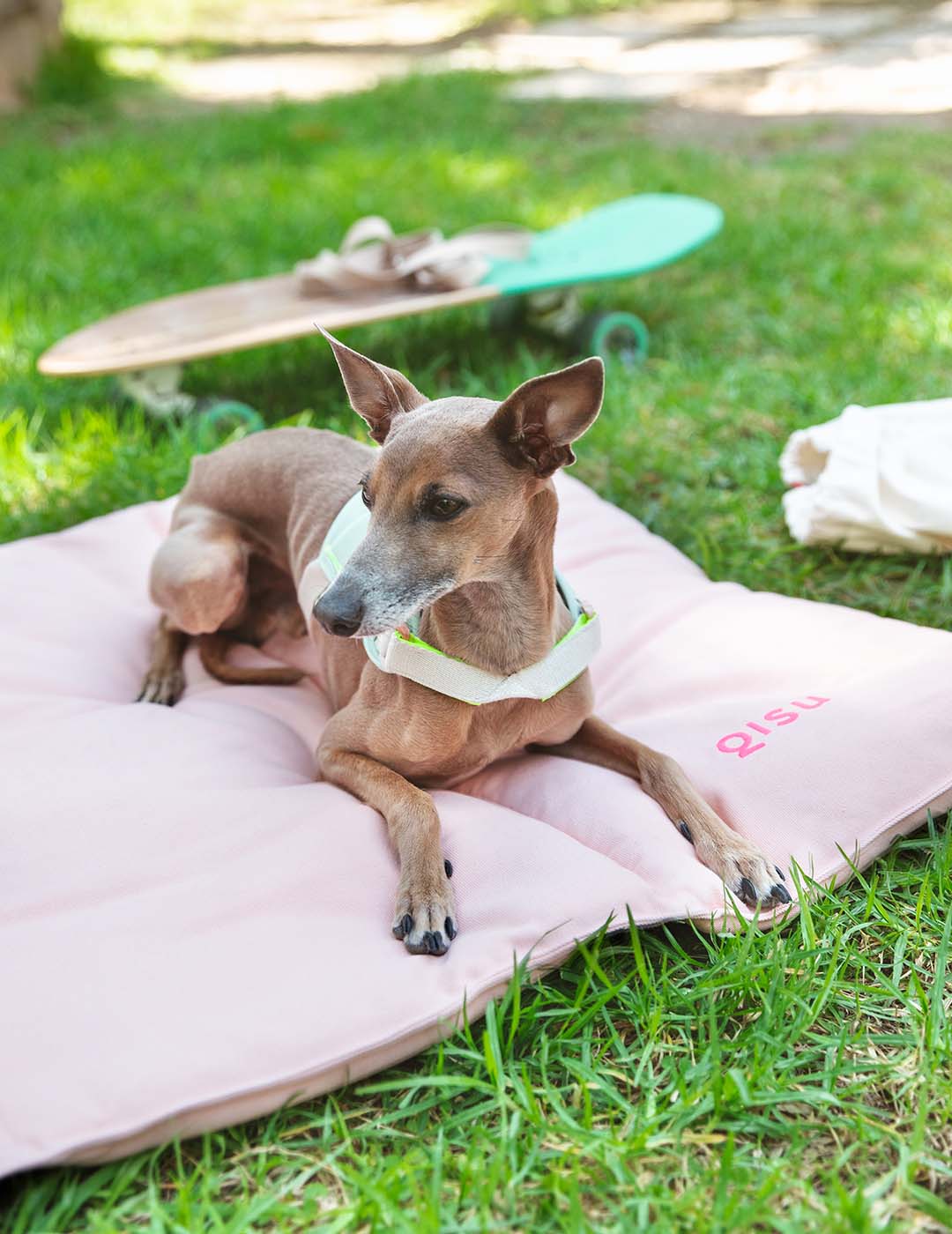 Qisu - Wholesale Pet Bed - Dog - Dog bed | Nomad Bed7