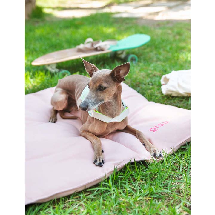 Qisu - Wholesale Pet Bed - Dog - Dog bed | Nomad Bed7
