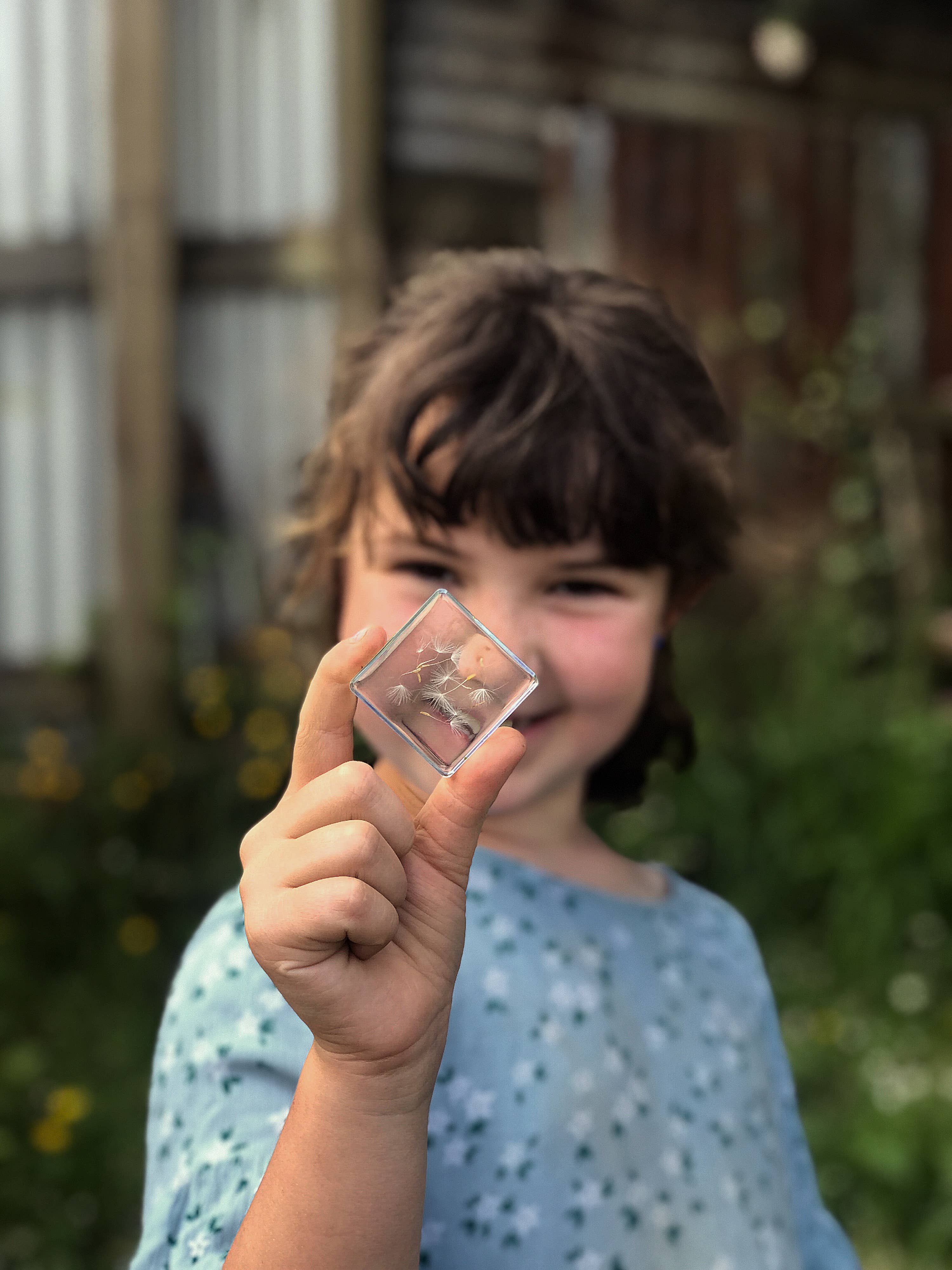 Our Earth Life - Wholesale Keepsake coin/token - Dandelion Wishes