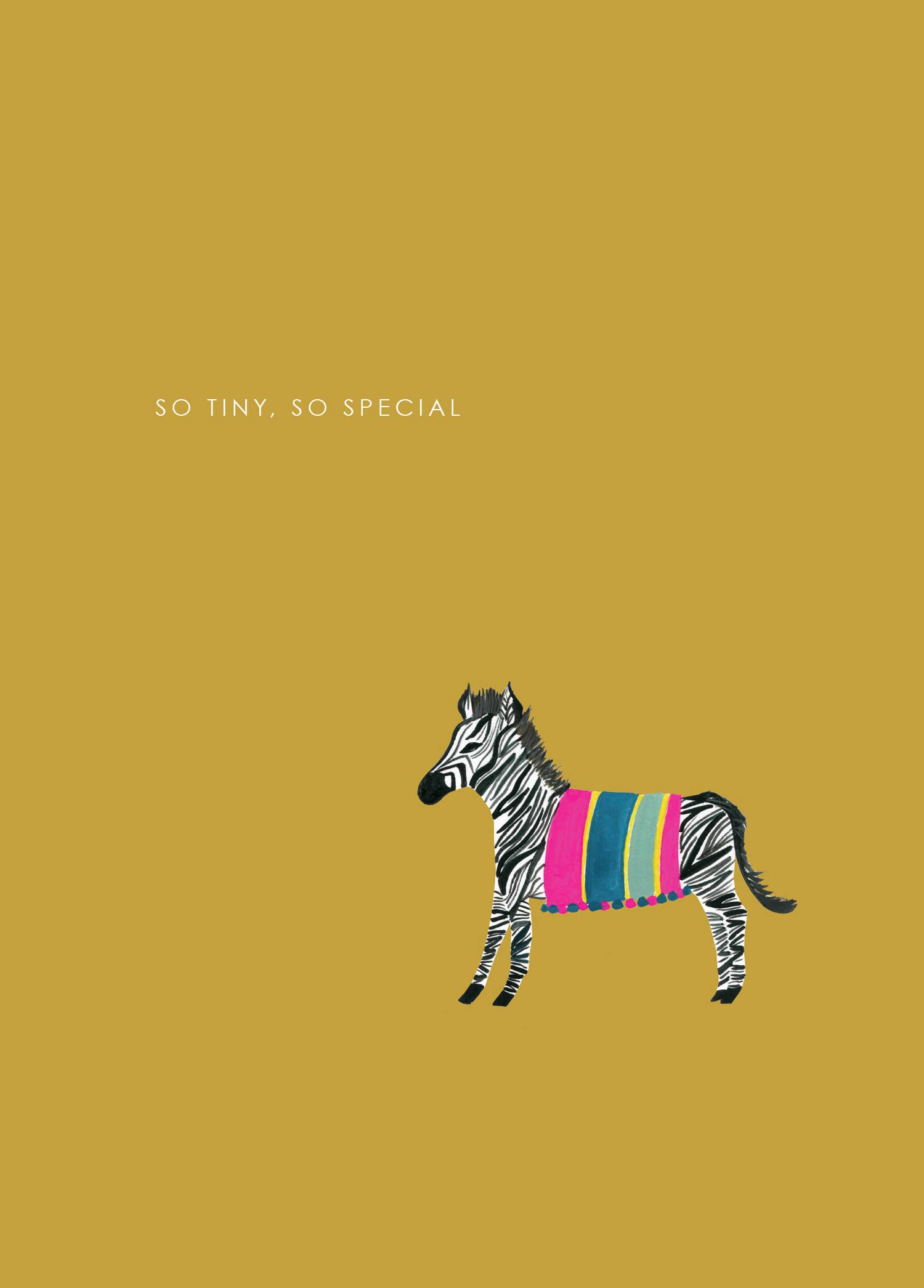 Hutch Cassidy - Wholesale Baby Card - 'Zebra' New Baby Greetings Card1