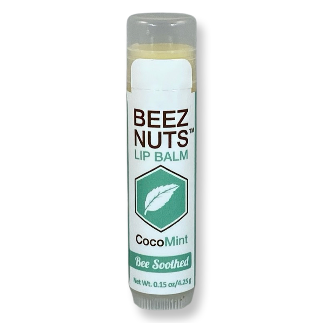 Beez Nuts Balms - Wholesale Lip Balm Set - CocoMint Lip Balms - 12 pack1