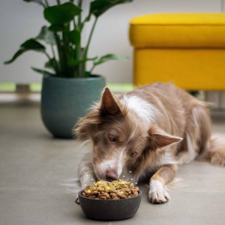 Live Pawsitive - Wholesale Pet food – Dog - Super Food & Chicken dog and Cat Food Topper 12oz2