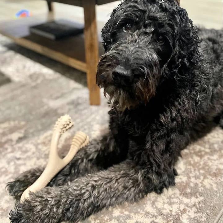 BetterBone Natural Dog Chews - Wholesale Pet Chew Toy - Dog - BetterBone SOFT- All-Natural, Safer on Teeth, Sustainable14