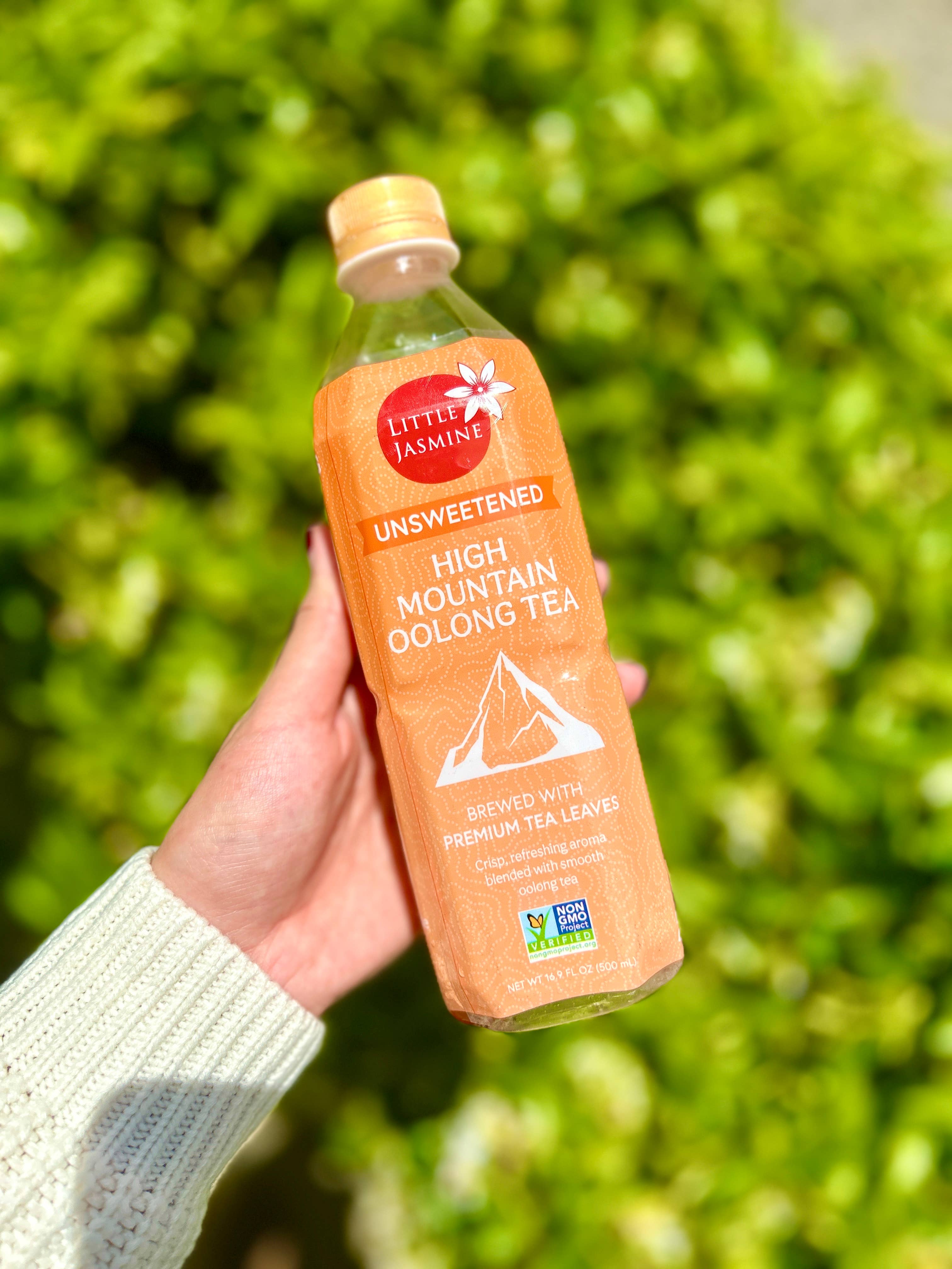 Arroyo Kitchen by Little Jasmine - Wholesale Health/Detox Tea - Non-GMO Unsweetened High Mountain Oolong Tea - 16.9 fl oz ea5