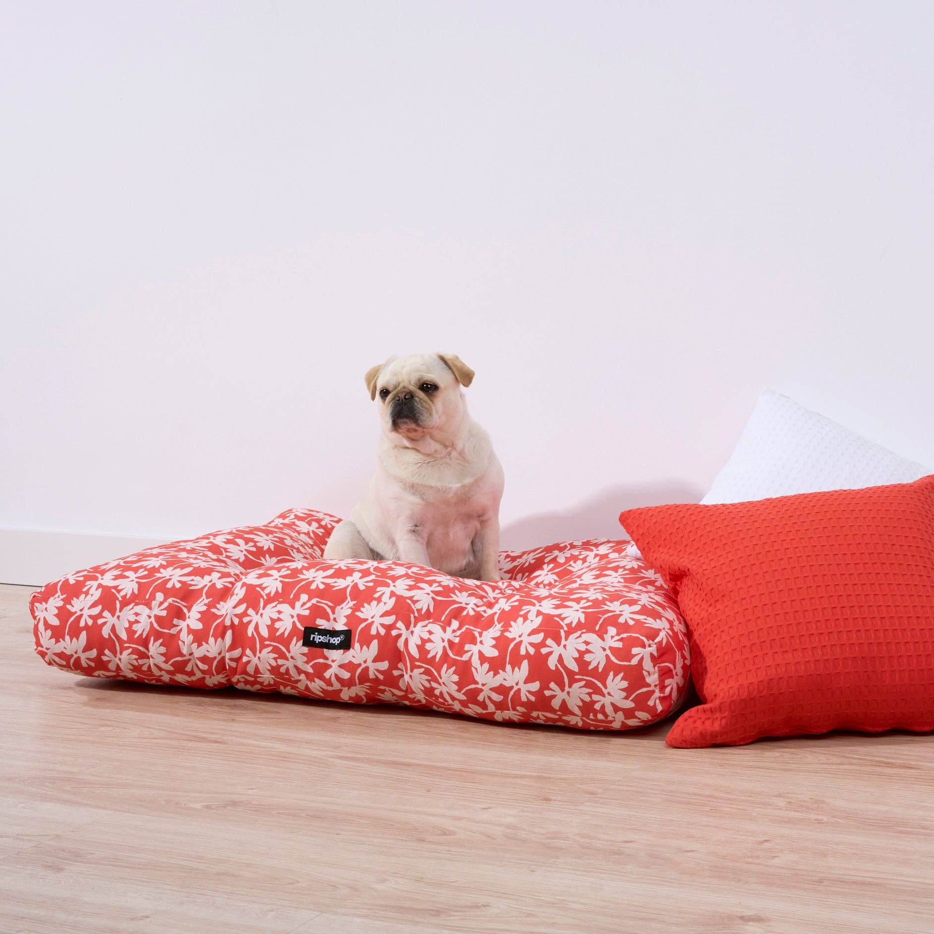 SG HOGAR - Venta al por mayor Cama - Perros - Cama de mascota 100% algodón antimanchas Halton 252