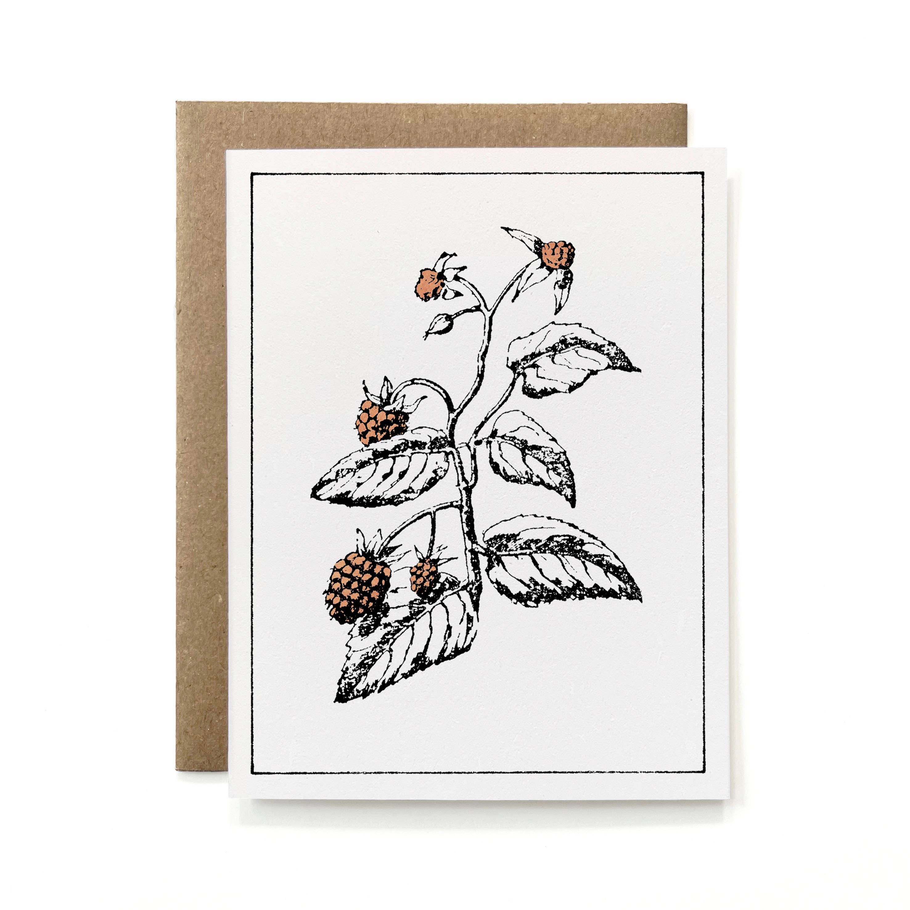 Knapping Press - Wholesale Stationery/Notecard Set - Set of 6 - 100% Recycled Painted Botanicals Card Collection2