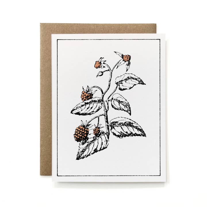 Knapping Press - Wholesale Stationery/Notecard Set - Set of 6 - 100% Recycled Painted Botanicals Card Collection2