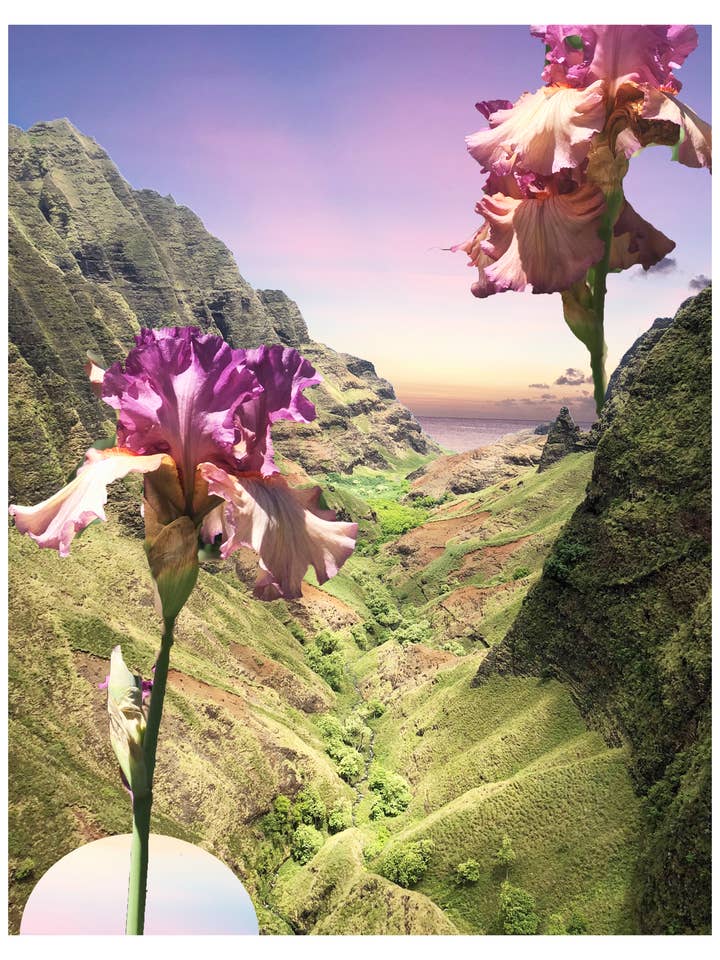 Stampa Iris Valley per la vendita all'ingrosso da parte di Elisabeth Grace