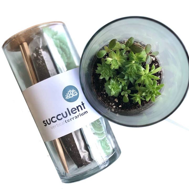 Potting Shed Creations, Ltd. - Wholesale Terrarium - Succulent Terrarium | Corporate Gift idea | Welcome Gift