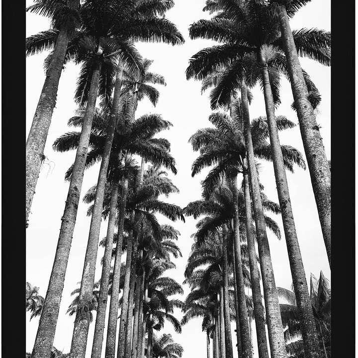 Americanflat - Wholesale Picture Frame - Americanflat Poster Frame with Wide Molding288