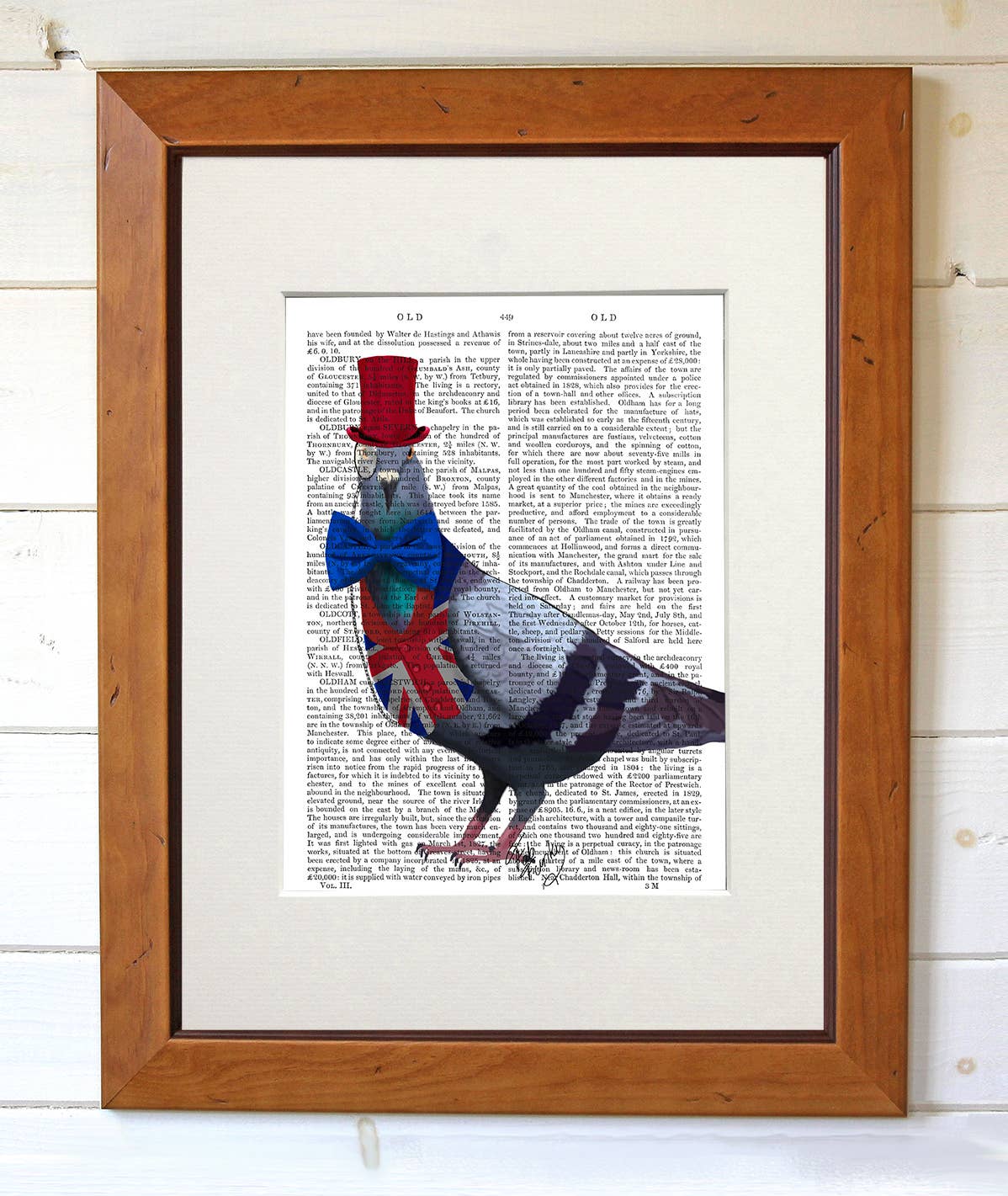 FabFunky Ltd - Wholesale Art Print - London Pigeon, Bird Book Print / Art Print / Wall Art2