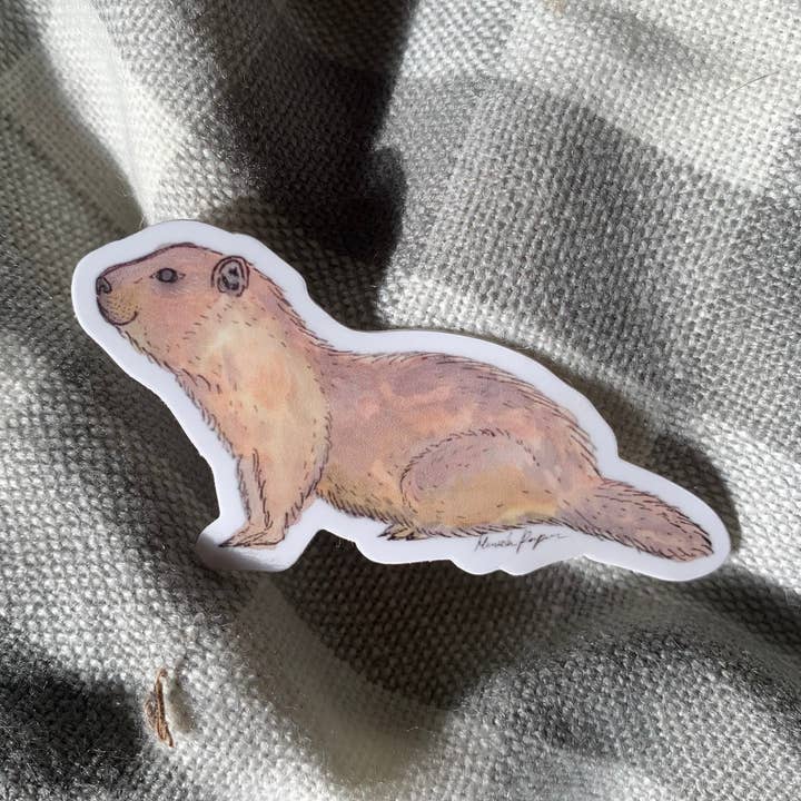 Marmot Sticker and other Purchase Wholesale marmot. Free Returns & Net 60 Terms on Faire trending on Faire.