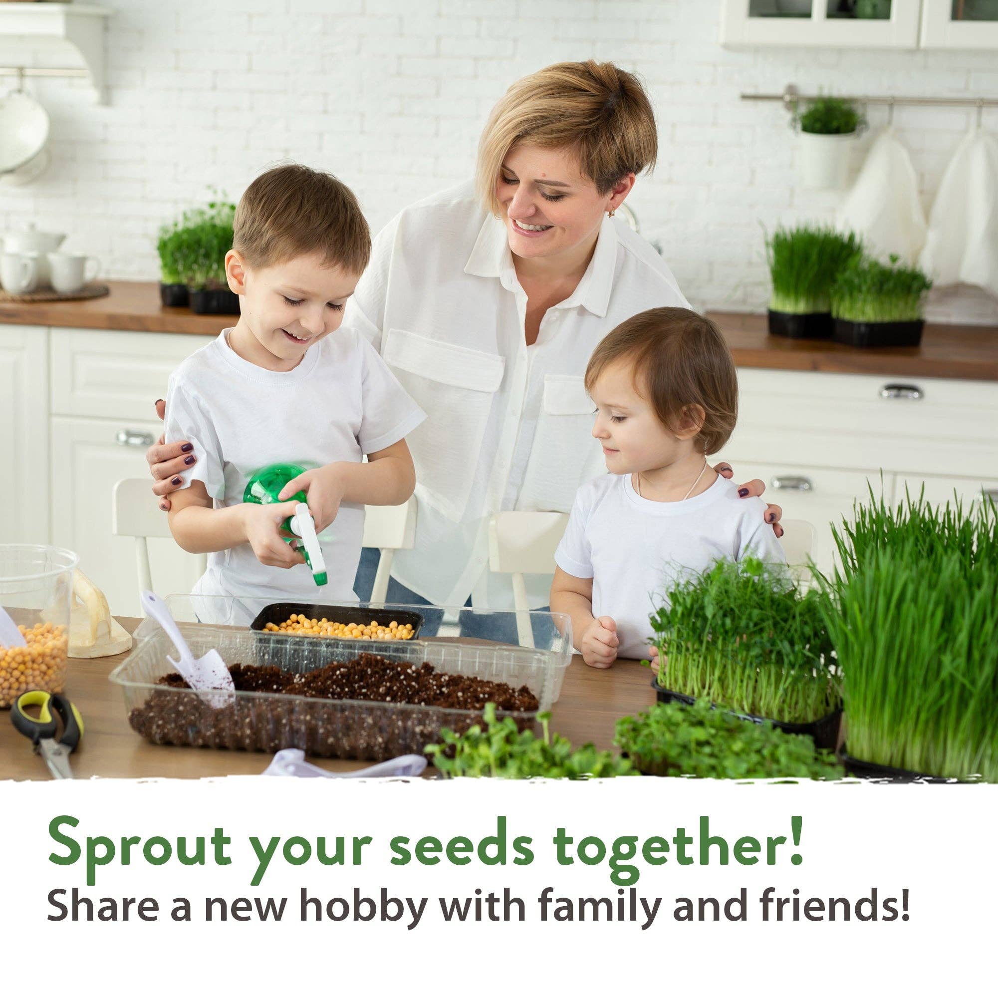 Homegrown Garden - Wholesale Plant Seeds - Sprouts and Microgreens Seeds Bulk Mix (16oz)1