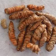 Gurkmejarot - Bulkört för wholesale av Back2Nature Herbals