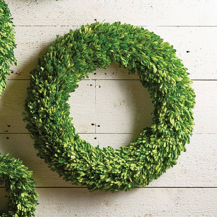 Napa Home & Garden - Wholesale Wreath - Boxwood Wreath 24"2