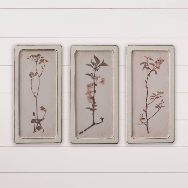 Framed Prints - Dried Flowers (Pk/03 Ast) for wholesale by Audrey's Home & Gift